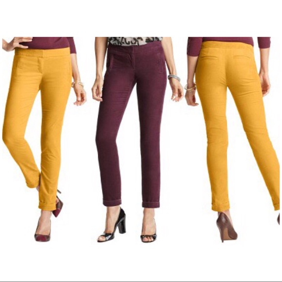 LOFT Pants - Loft Zoe pants NWT